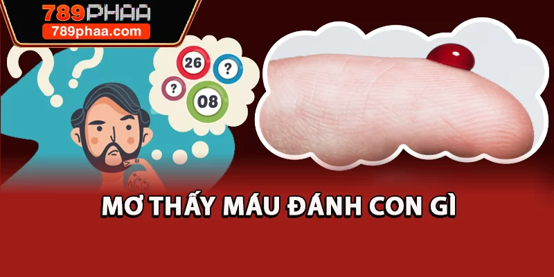 Mơ thấy máu đánh con gì