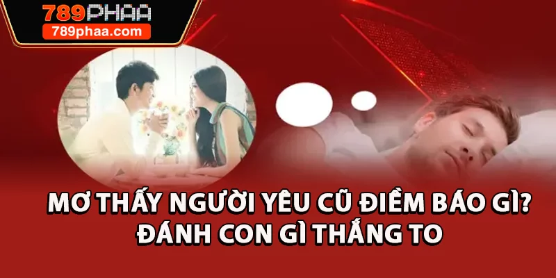 Mơ Thấy Người Yêu Cũ Điềm Báo Gì? Đánh Con Gì Thắng To