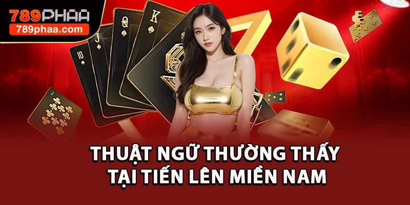 Thuật ngữ thường thấy tại Tiến Lên Miền Nam