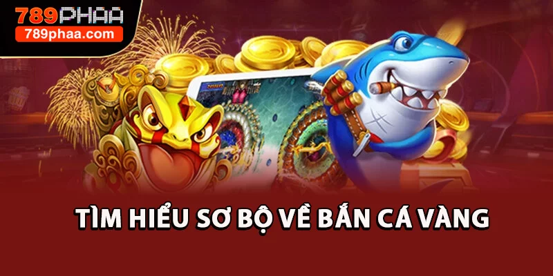 Tìm hiểu sơ bộ về Bắn cá vàng